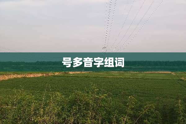 号多音字组词