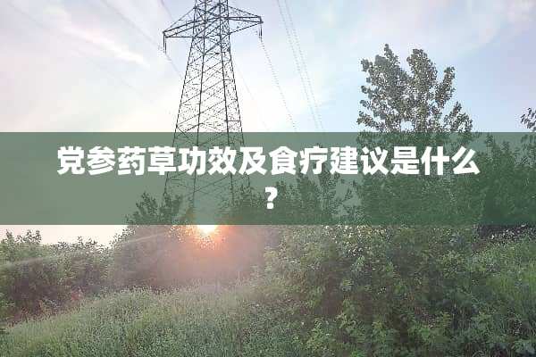 *参药草功效及食疗建议是什么？