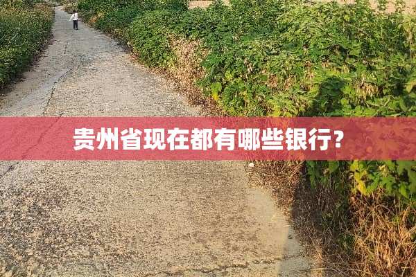 贵州省现在都有哪些银行？