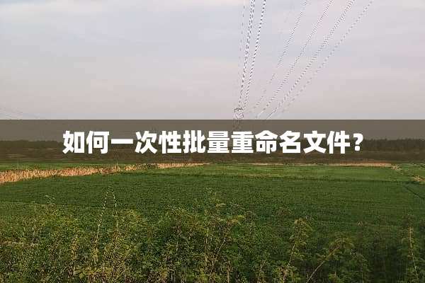 如何一次性批量重命名文件？