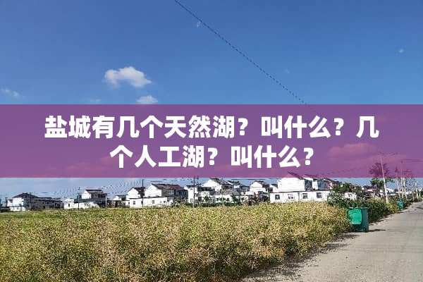 盐城有几个天然湖？叫什么？几个人工湖？叫什么？
