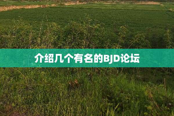 介绍几个有名的BJD论坛