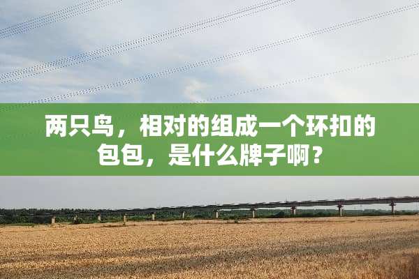两只鸟，相对的组成一个环扣的包包，是什么牌子啊？