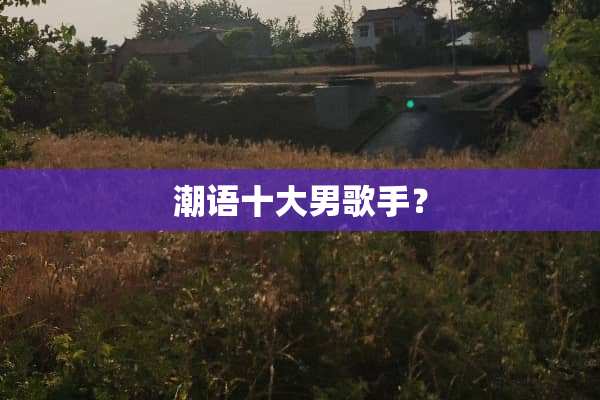 潮语十大男歌手？