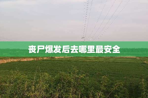 丧尸爆发后去哪里最安全
