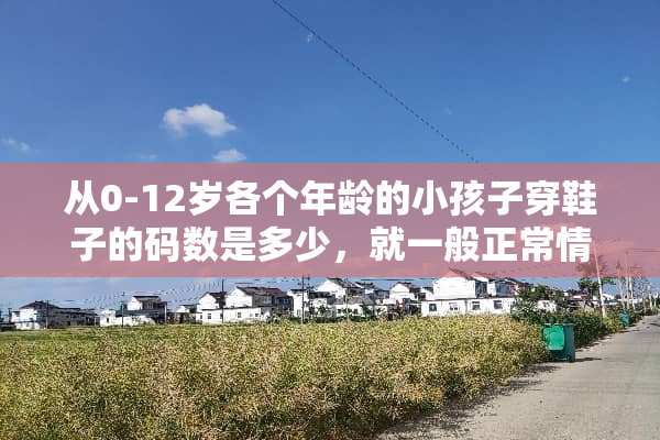 从0-12岁各个年龄的小孩子穿鞋子的码数是多少，就一般正常情况来说。越细越好