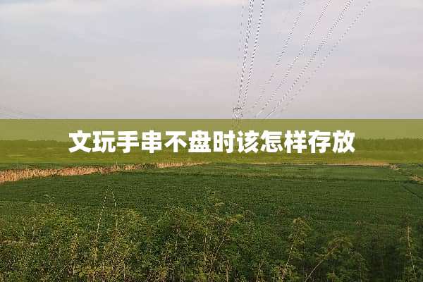文玩手串不盘时该怎样存放