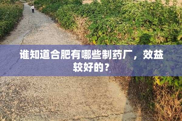 谁知道合肥有哪些制药厂，效益较好的？