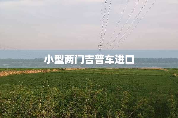 小型两门吉普车进口