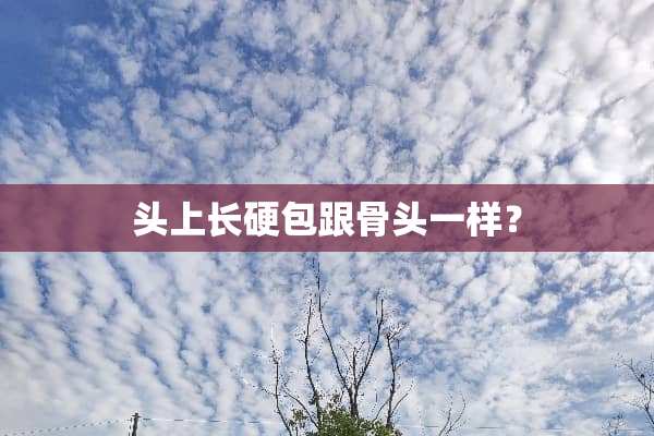 头上长硬包跟骨头一样？