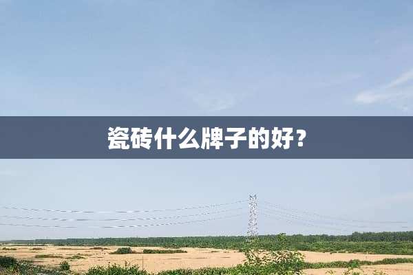 瓷砖什么牌子的好？