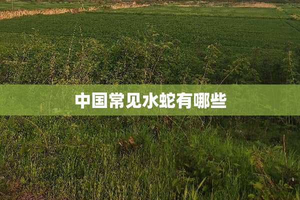 中国常见水蛇有哪些