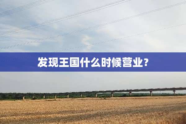 发现王国什么时候营业？
