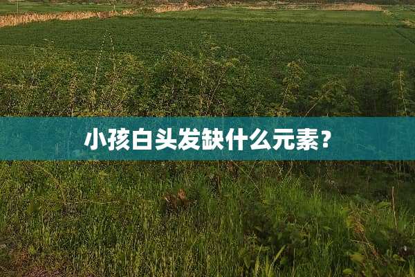 小孩白头发缺什么元素？