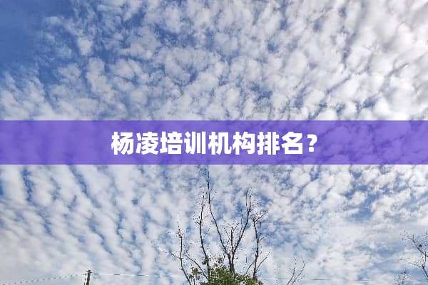 杨凌培训机构排名？