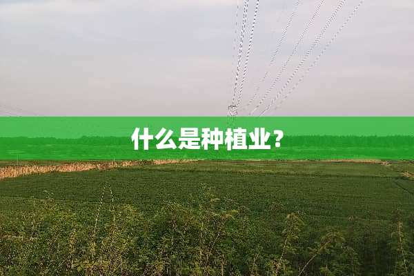 什么是种植业？