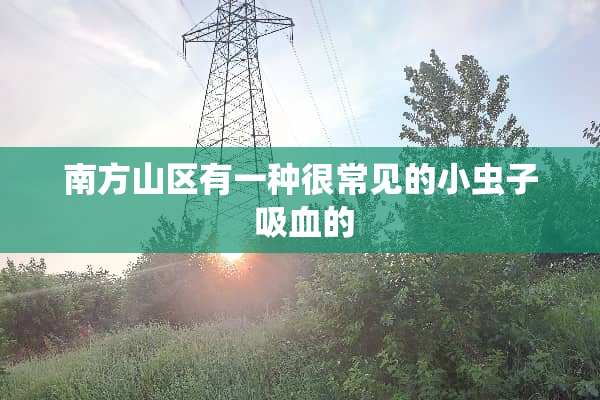 南方山区有一种很常见的小虫子 吸血的
