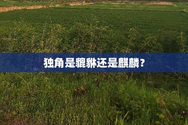 独角是貔貅还是麒麟？