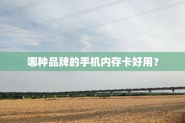 哪种品牌的手机内存卡好用？