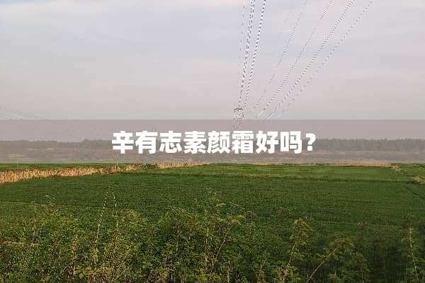 辛有志素颜霜好吗？