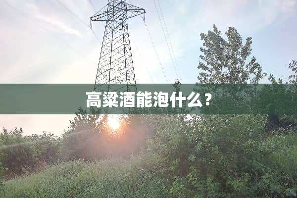 高粱酒能泡什么？