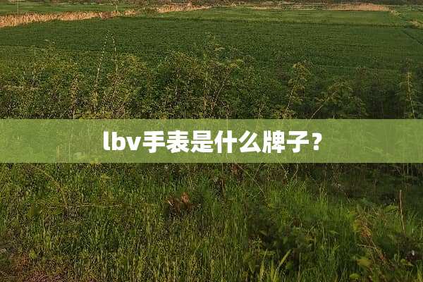 lbv手表是什么牌子？