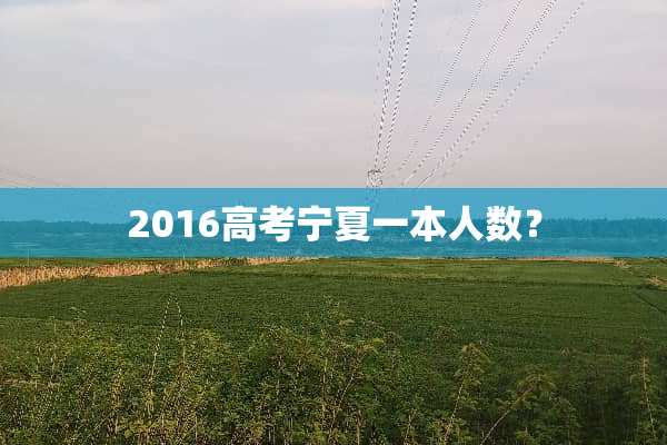 2016高考宁夏一本人数？