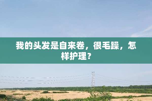 我的头发是自来卷，很毛躁，怎样护理？
