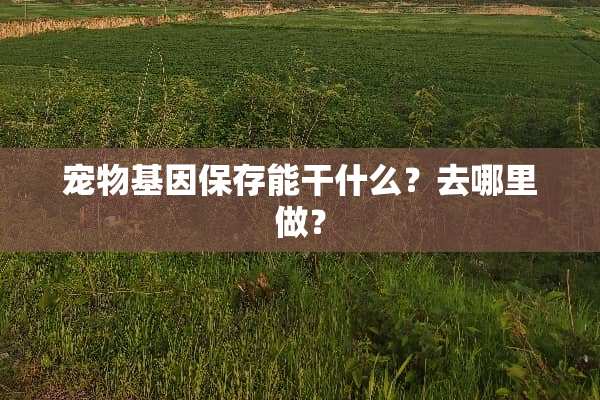 宠物基因保存能干什么？去哪里做？