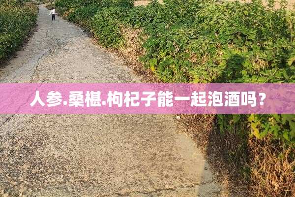 人参.桑椹.枸杞子能一起泡酒吗？