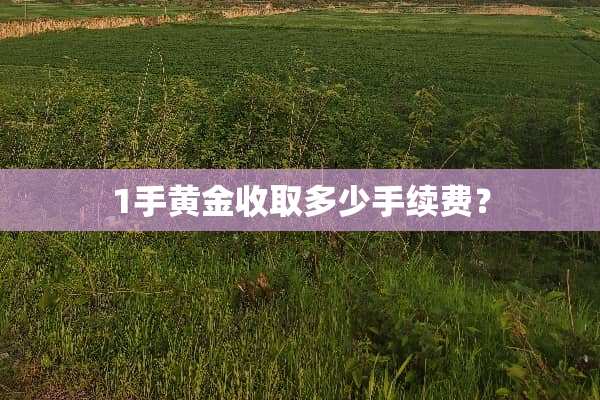 1手黄金收取多少手续费？