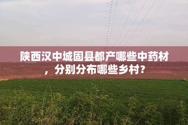 陕西汉中城固县都产哪些中药材，分别分布哪些乡村？