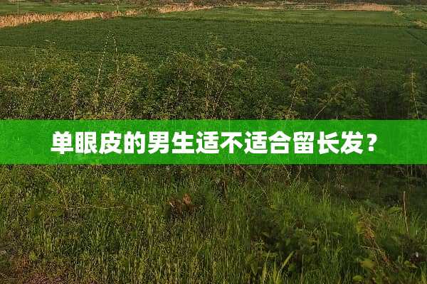 单眼皮的男生适不适合留长发？
