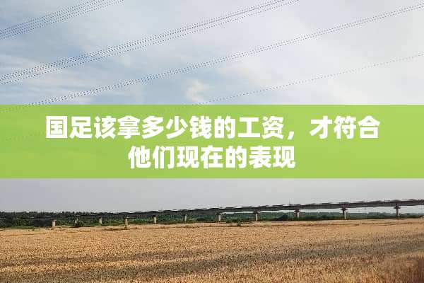 国足该拿多少钱的工资，才符合他们现在的表现