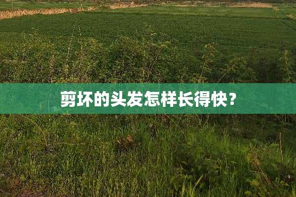 剪坏的头发怎样长得快？