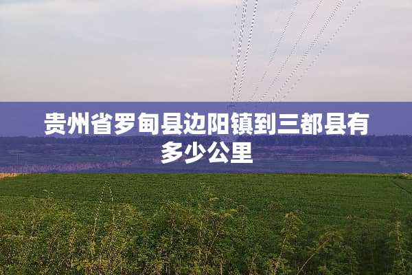 贵州省罗甸县边阳镇到三都县有多少公里