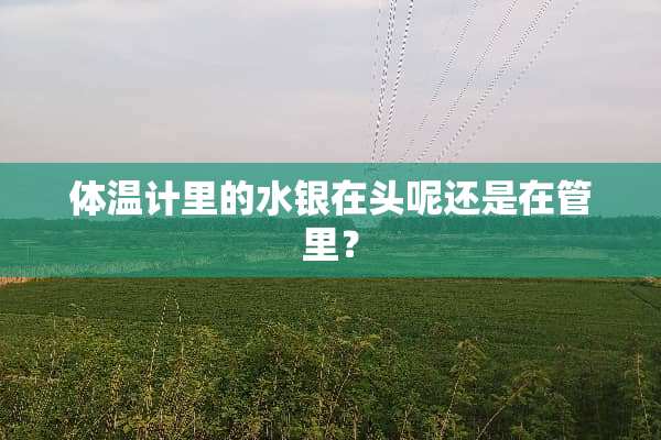 体温计里的水银在头呢还是在管里？