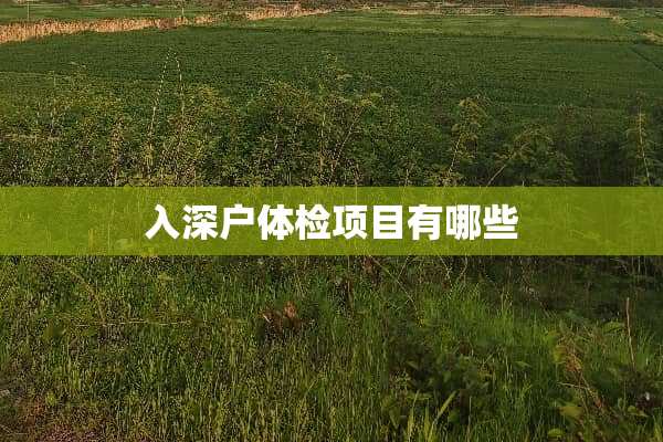 入深户体检项目有哪些