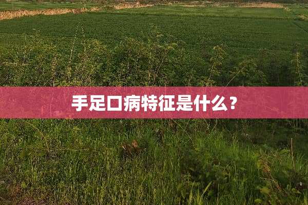 手足口病特征是什么？