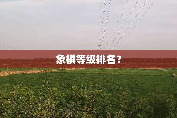象棋等级排名？
