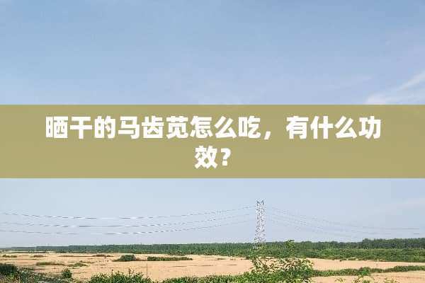 晒干的马齿苋怎么吃，有什么功效？