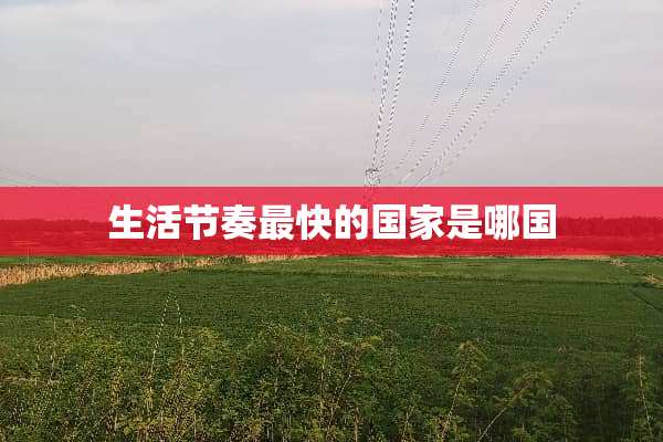 生活节奏最快的国家是哪国