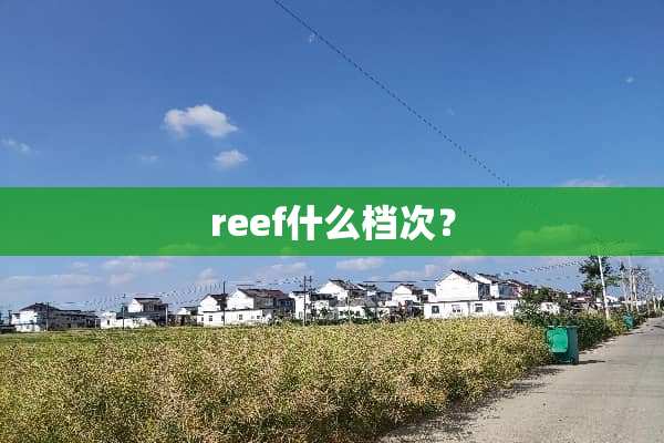 reef什么档次？