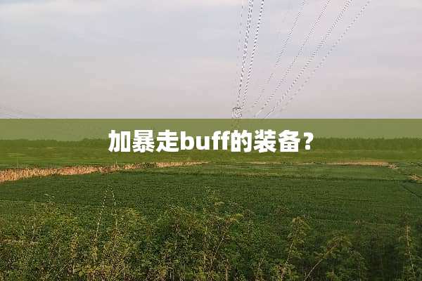 加暴走buff的装备？
