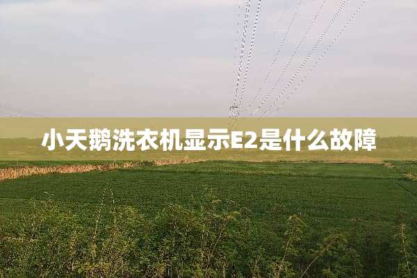 小天鹅洗衣机显示E2是什么故障
