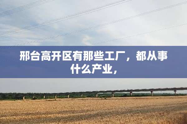 邢台高开区有那些工厂，都从事什么产业，