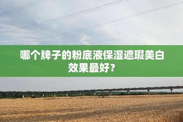 哪个牌子的粉底液保湿遮瑕美白效果最好？