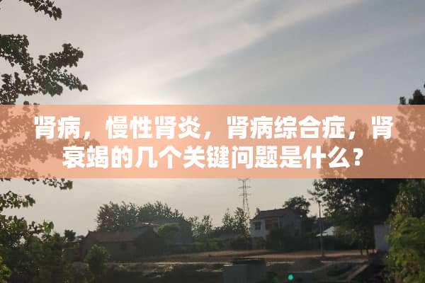 肾病，慢性肾炎，肾病综合症，肾衰竭的几个关键问题是什么？