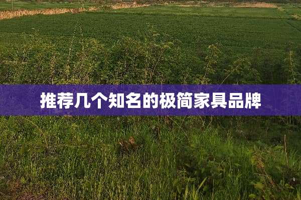 推荐几个知名的极简家具品牌