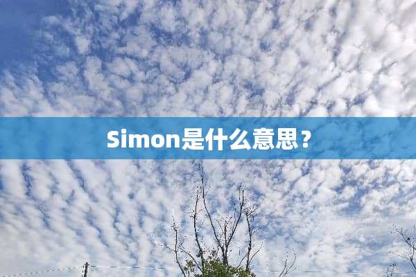 Simon是什么意思？